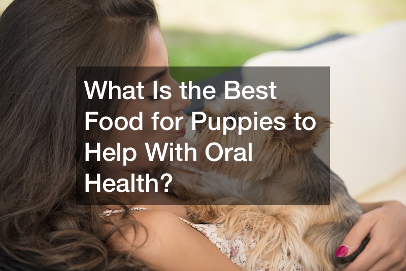 What Is the Best Food for Puppies to Help With Oral Health?